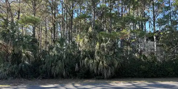 Lot 17 Dune Oaks Dr.