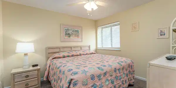 Image 3 Image 3