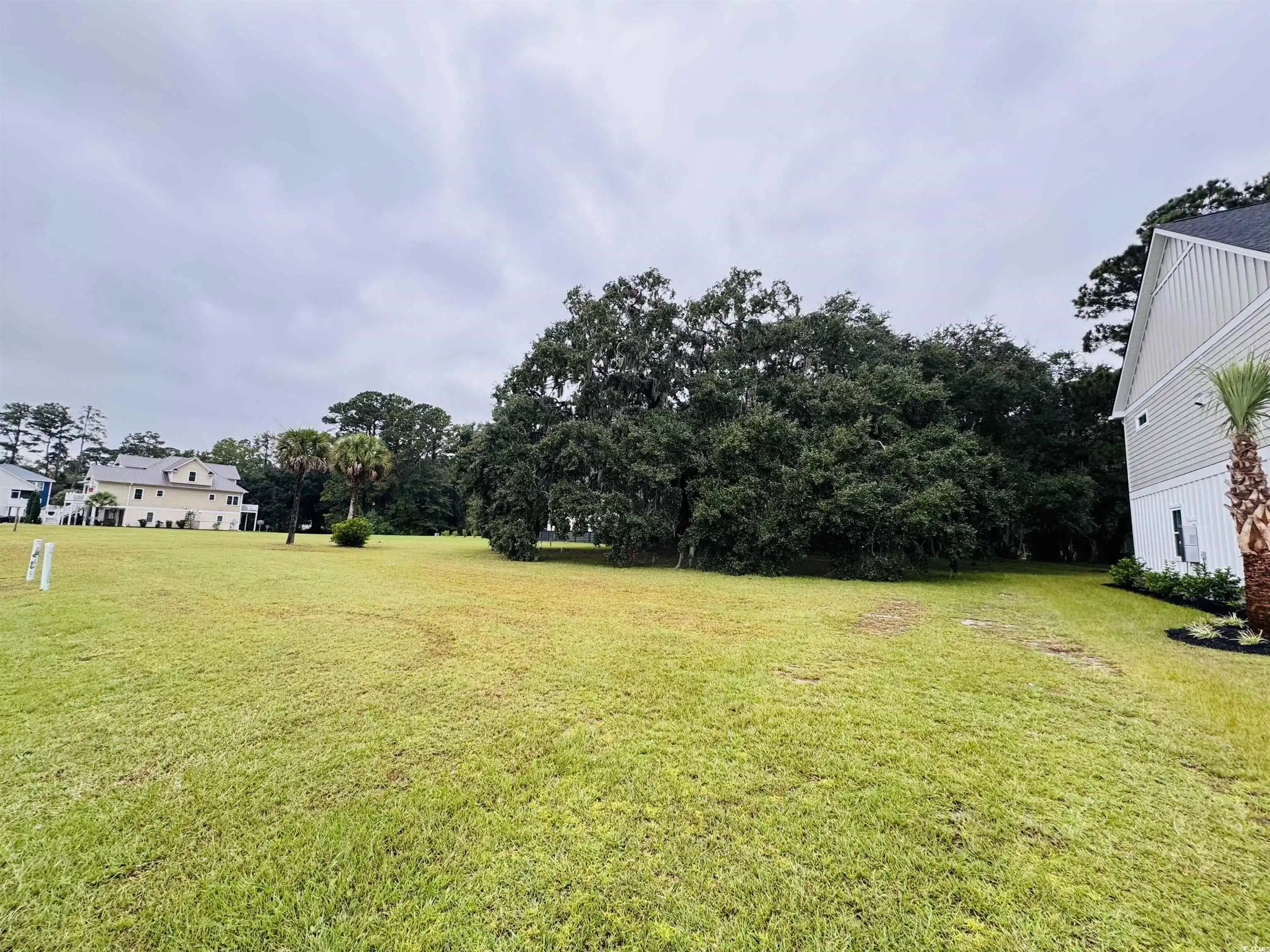 Image 1: View of green lawn featuring view of wooded area Image 1: View of green lawn featuring view of wooded area