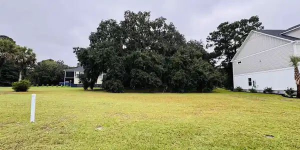 Image 3: View of grassy yard with view of scattered trees Image 3: View of grassy yard with view of scattered trees