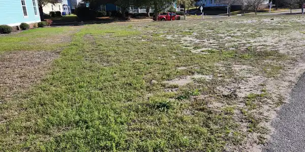 Image 4 Image 4