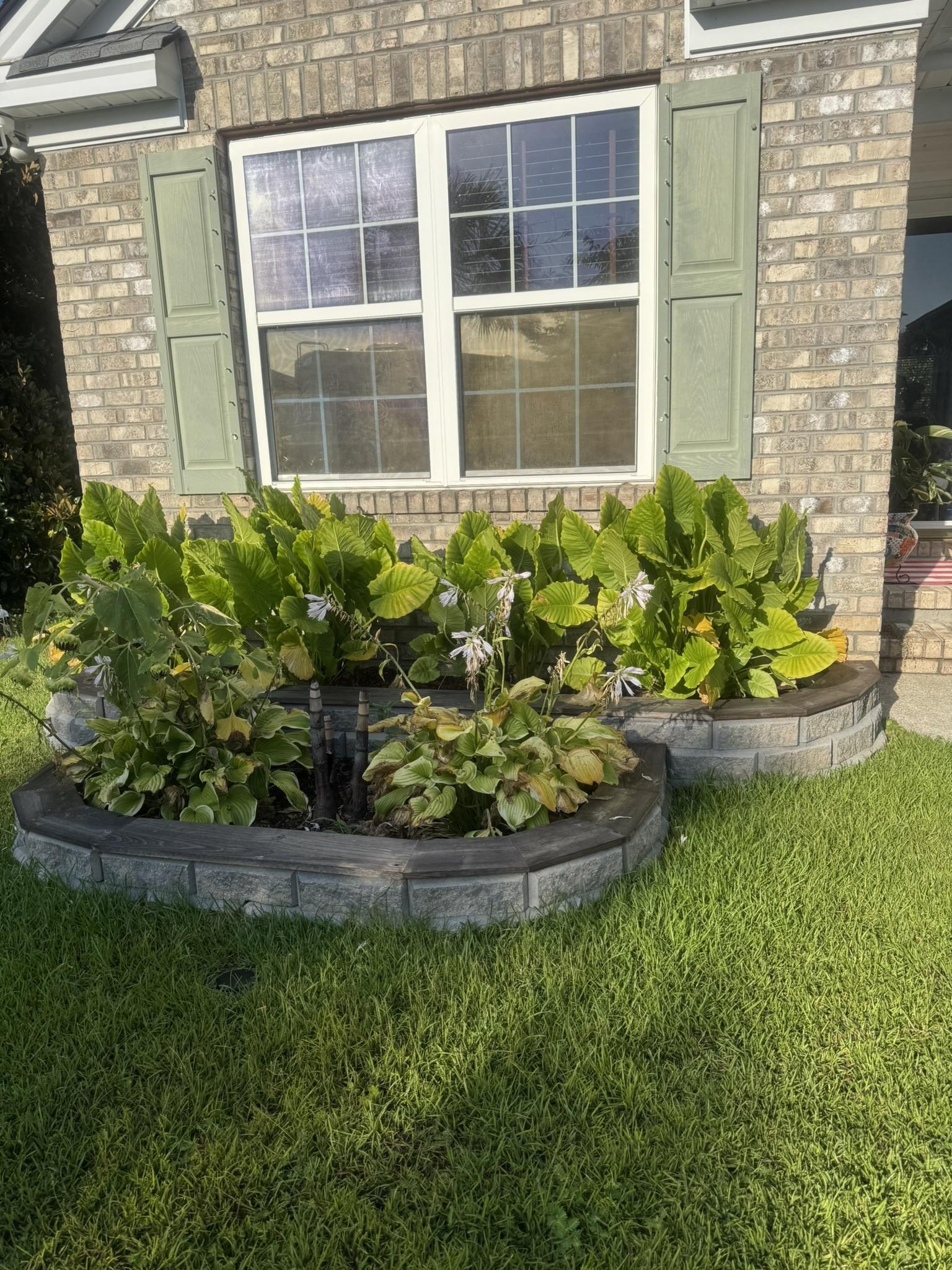 Image 4 Image 4