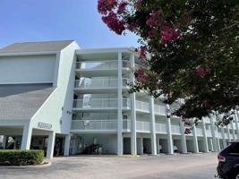 14290 Ocean Highway