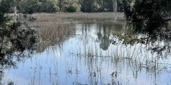 Image 4 Image 4