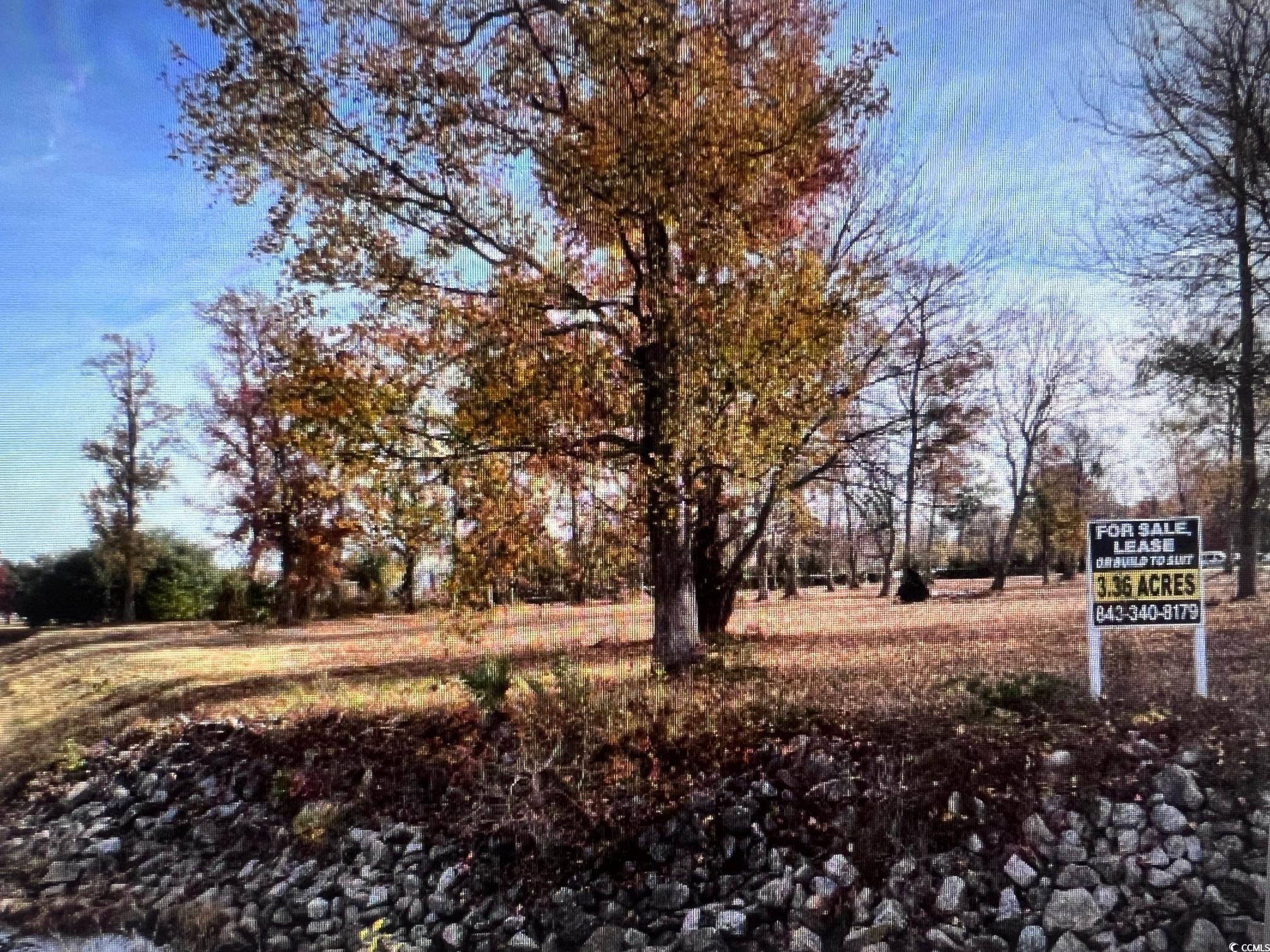 Image 1: View of yard