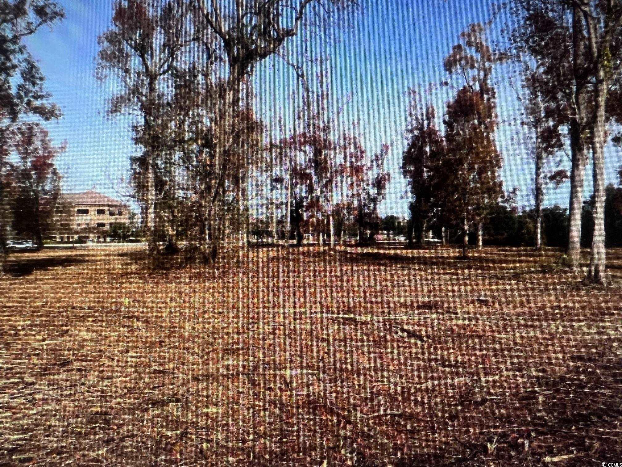 Image 3: View of nature