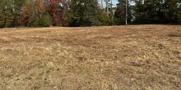 Image 2: View from Professional Drive towards the rear of t