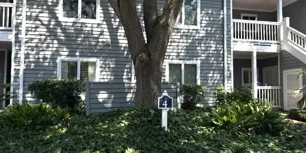 Image 4 Image 4