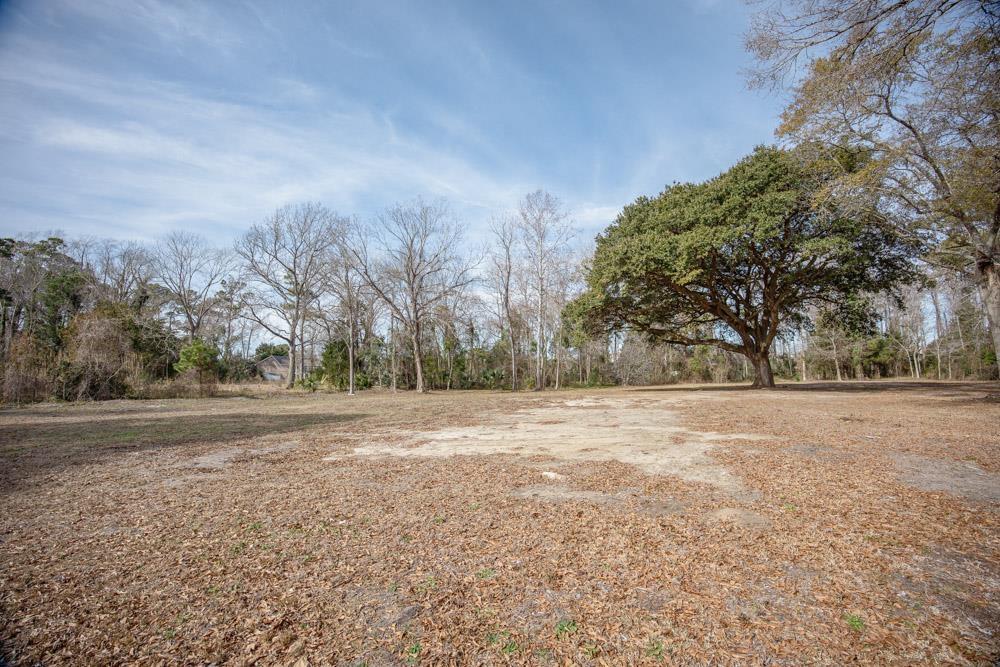 Image 2: View of yard Image 2: View of yard