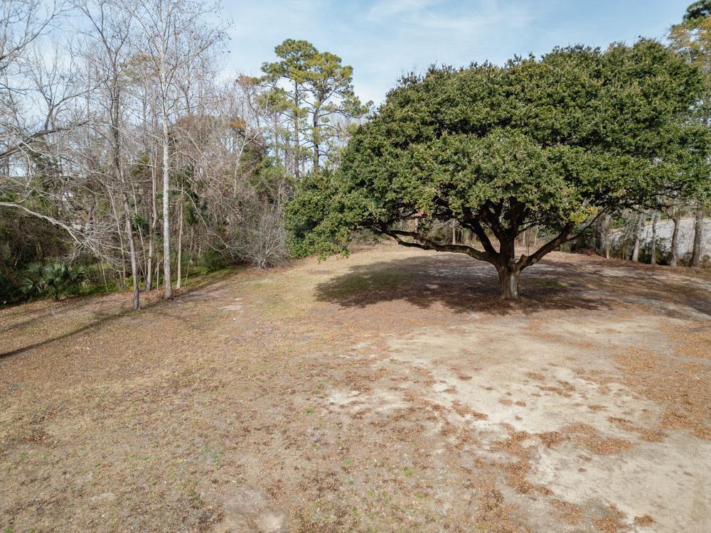 Image 4: View of yard Image 4: View of yard