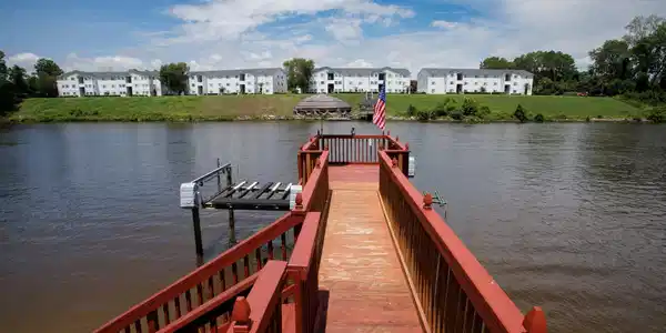 Image 4 Image 4
