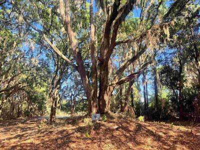 34 Dune Oaks Dr.