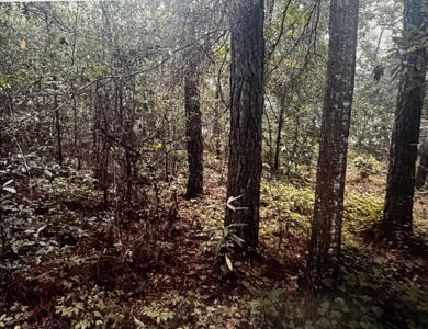 4563 South Island Rd.