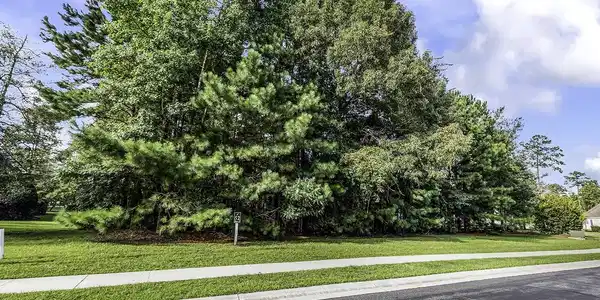 155 Low Country Loop