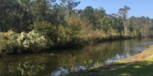 Lot 46 Lantana Circle