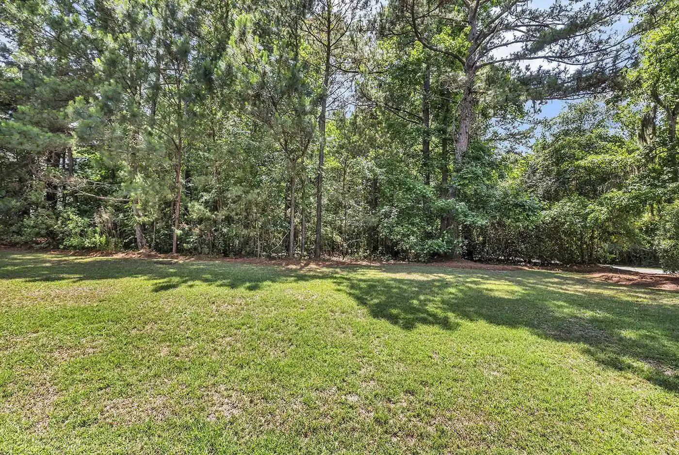 Image 1 Image 1
