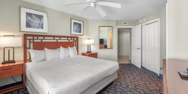 Image 4 Image 4