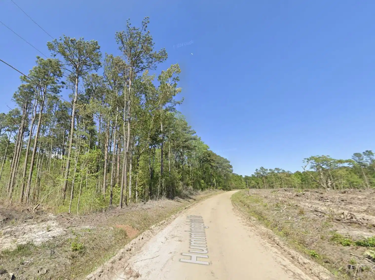 Image 1 Image 1