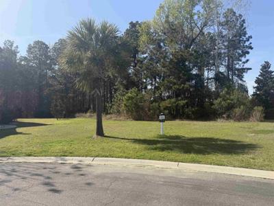 468 Plantation Oaks Dr.