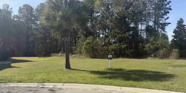 468 Plantation Oaks Dr.