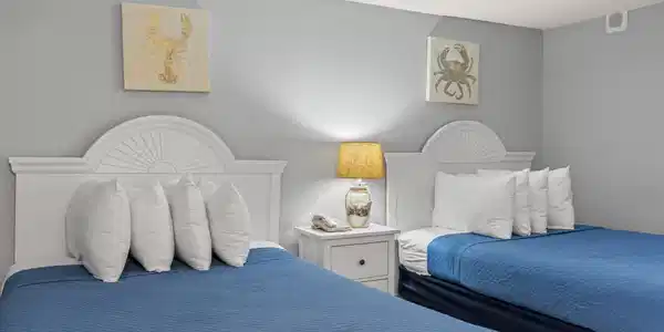 Image 4 Image 4