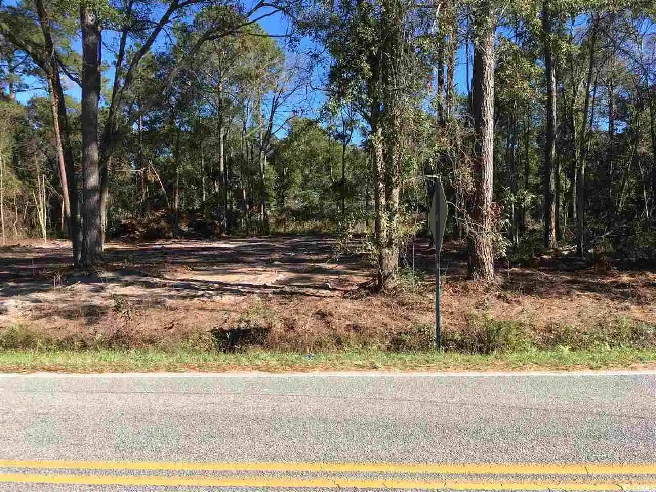 Image 1 Image 1