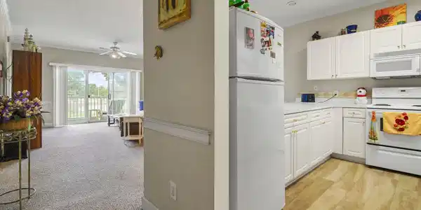 Image 4 Image 4