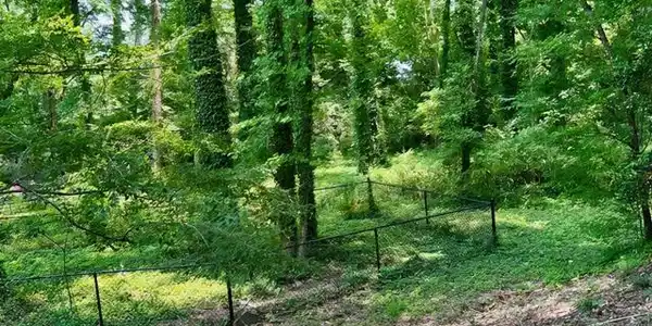 Old Bridge Rd.