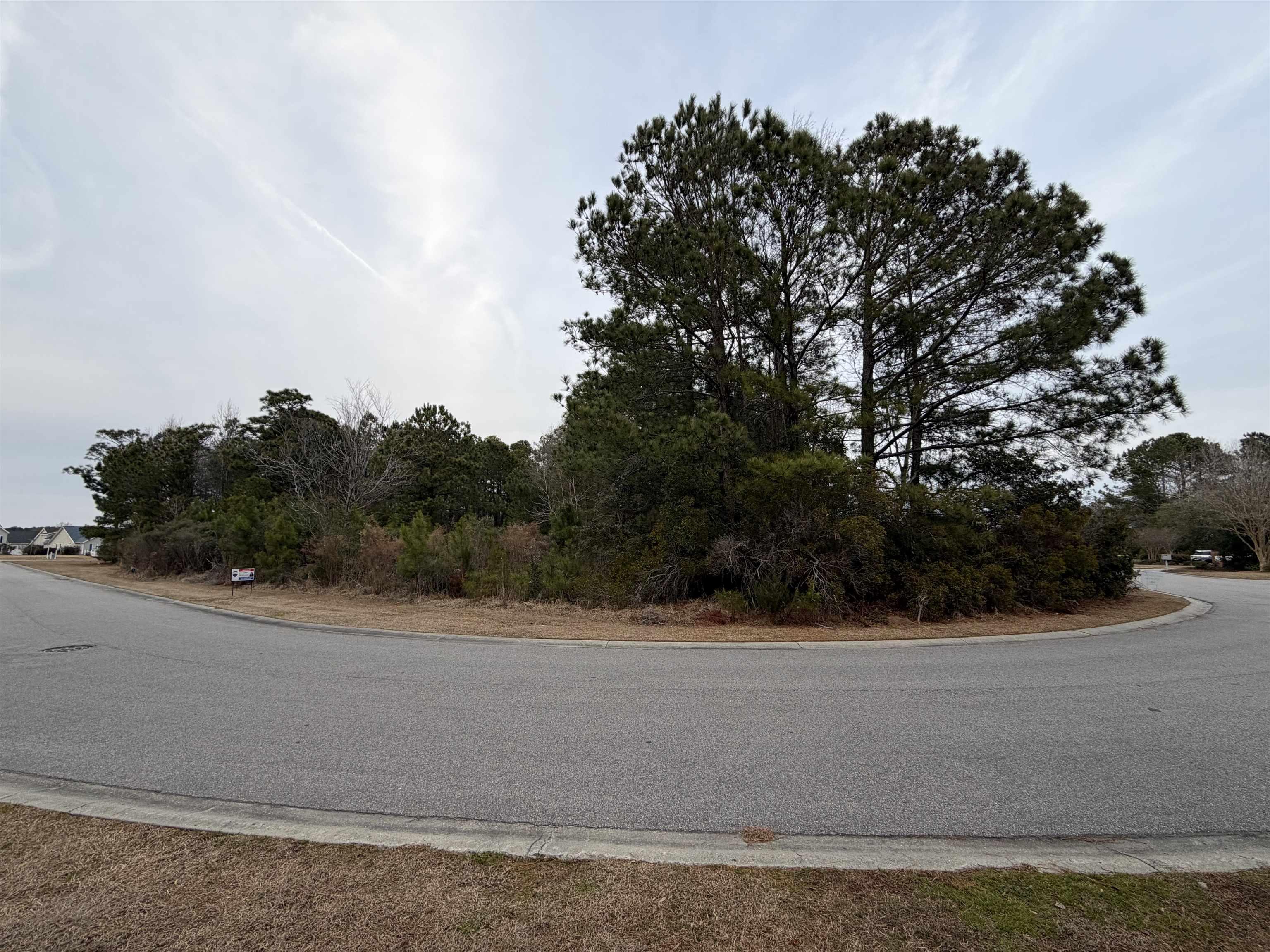 Image 4 Image 4