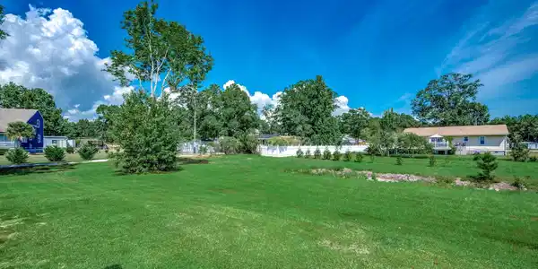 Image 3: View of grassy yard