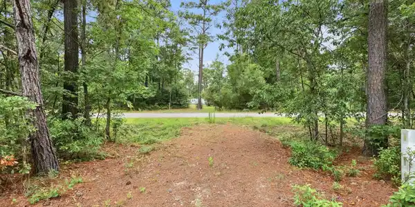 Image 4 Image 4
