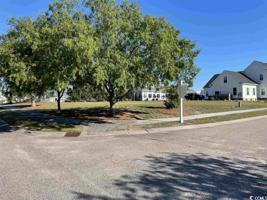 1302 James Island Ave.