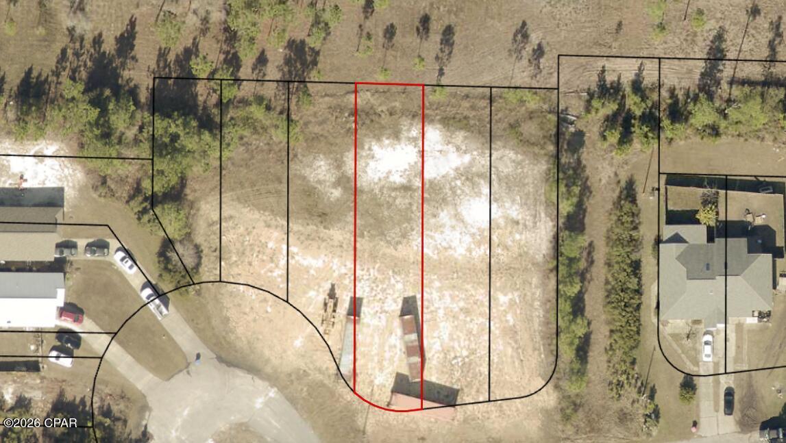 Image 1: 1123 Raintree Dr