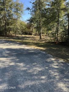 31 Indian Bluff Drive