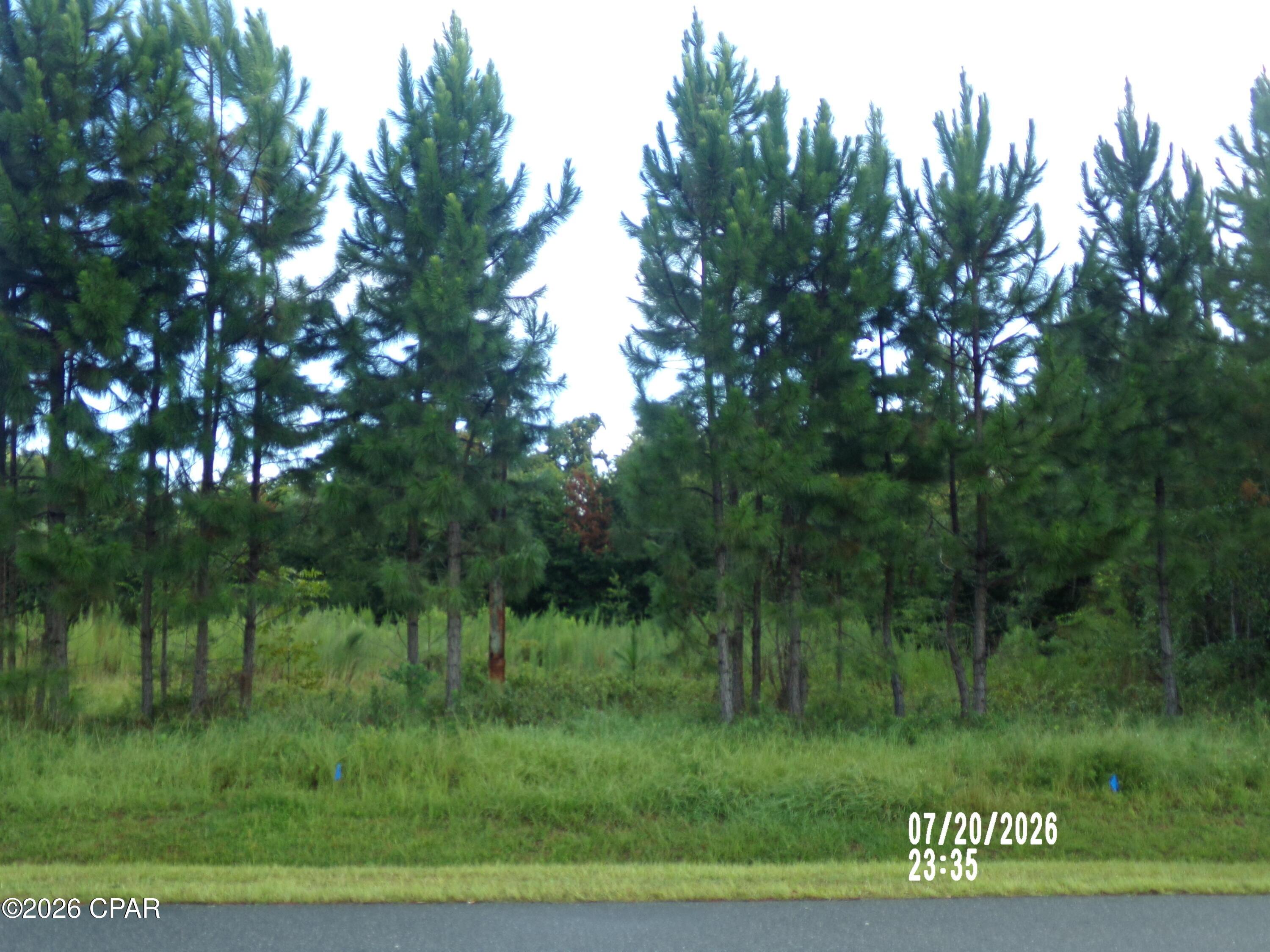 Image 3: 107_4352