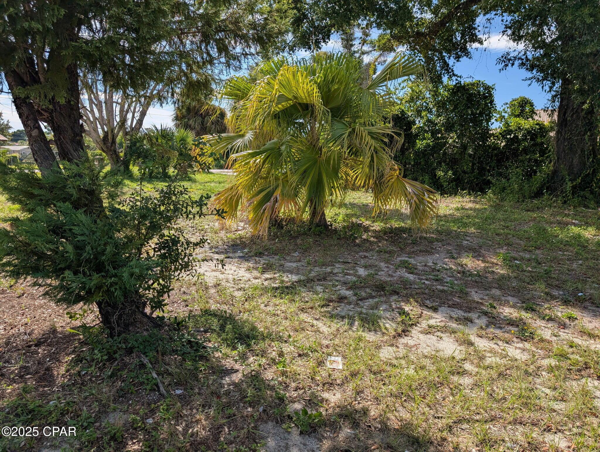 Image 3: IMG_20251019_102415