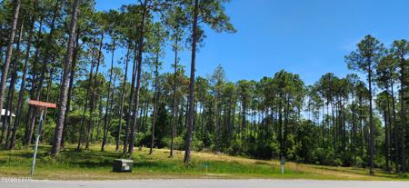 7644 Coastal Hammock Trail