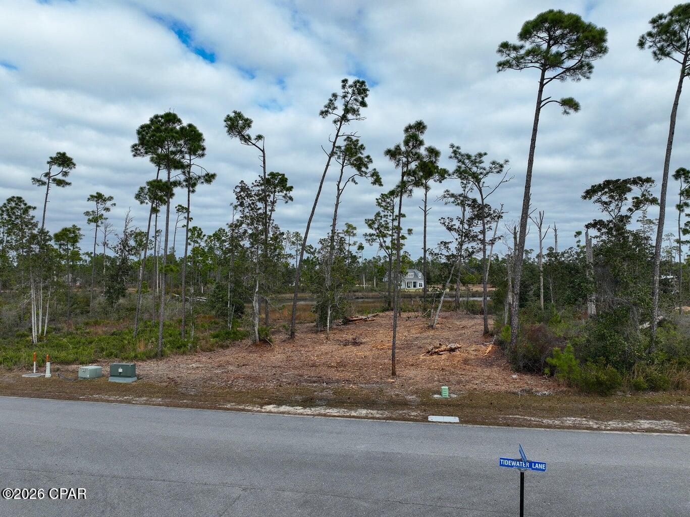 Image 4: land4