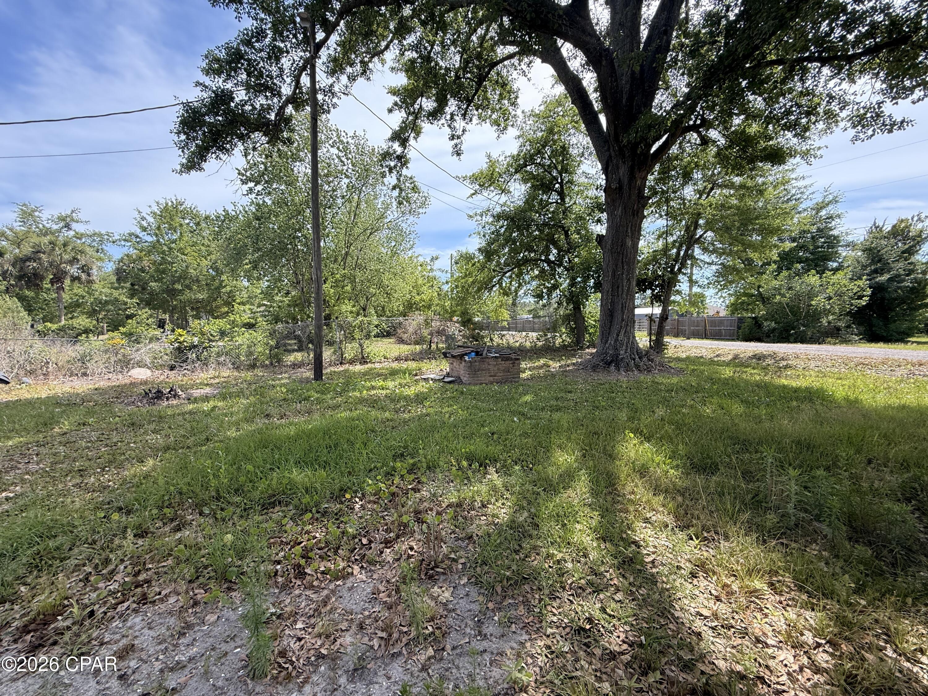 Image 2: IMG_0576
