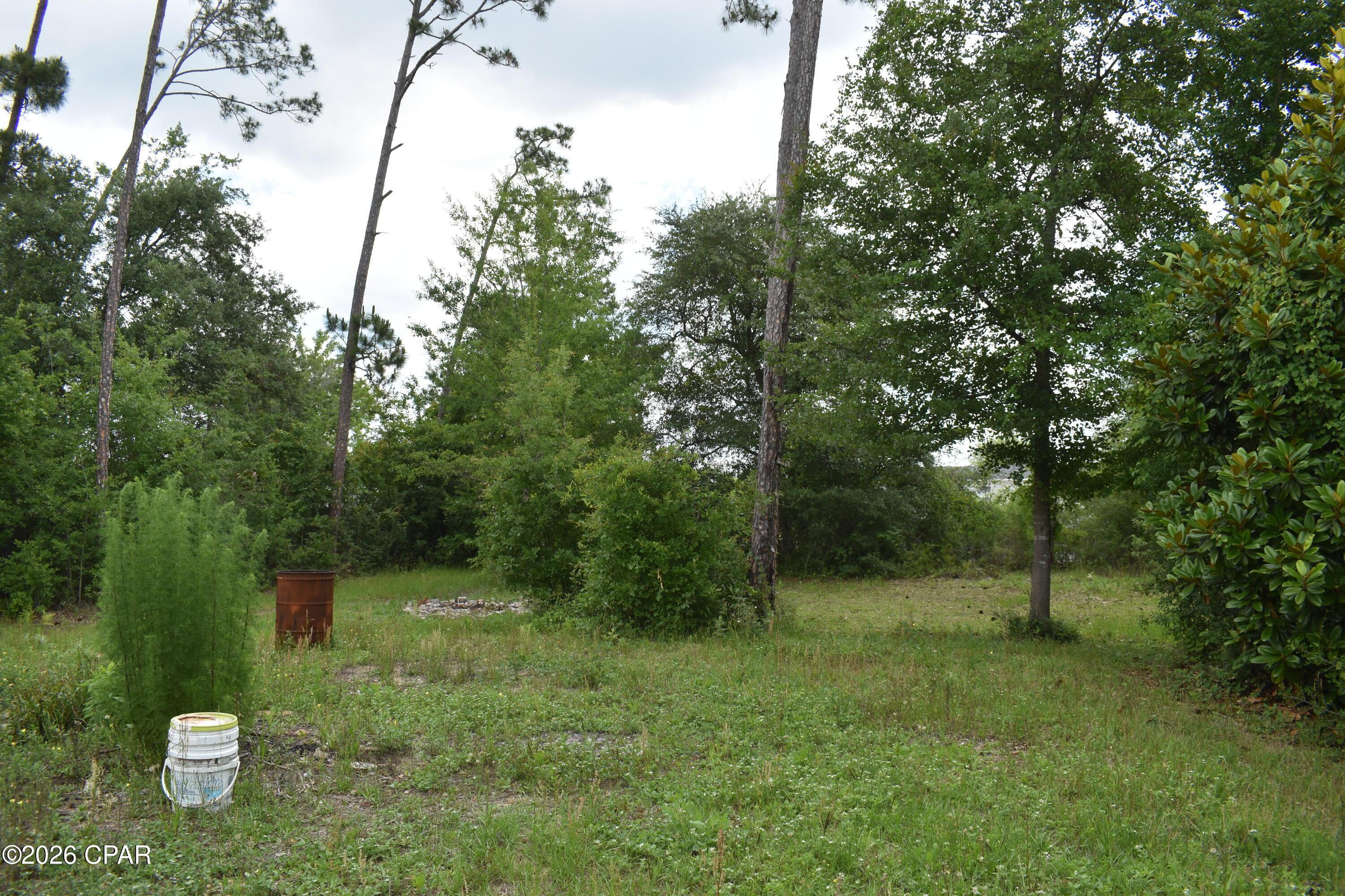 Image 4: DSC_0343