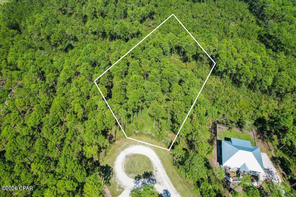 Image 1: Lot Picture Lot 334 Outline