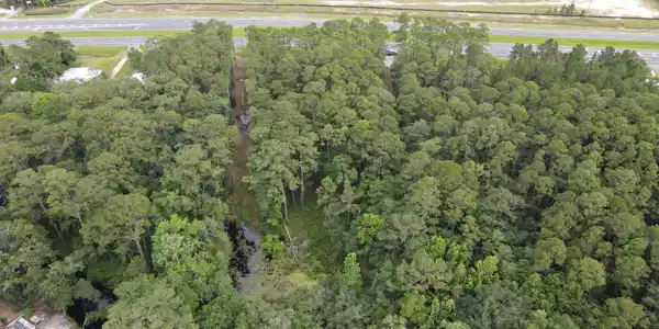 Image 2: dji_f_1780004738199_photo