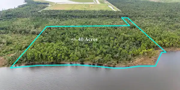 Image 3: DJI_20250909135544_0035_D