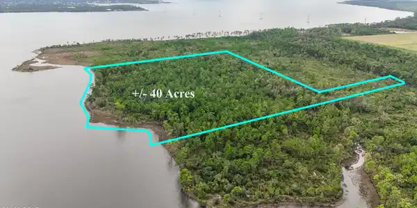 Image 4: DJI_20250909135637_0036_D