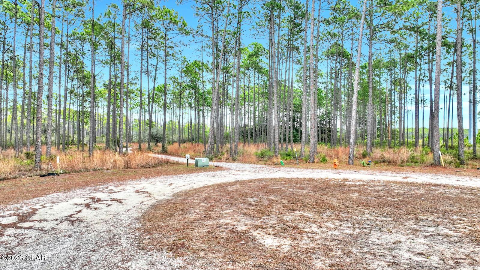 Image 2: dji_fly_20240125_070206_221_170630424569