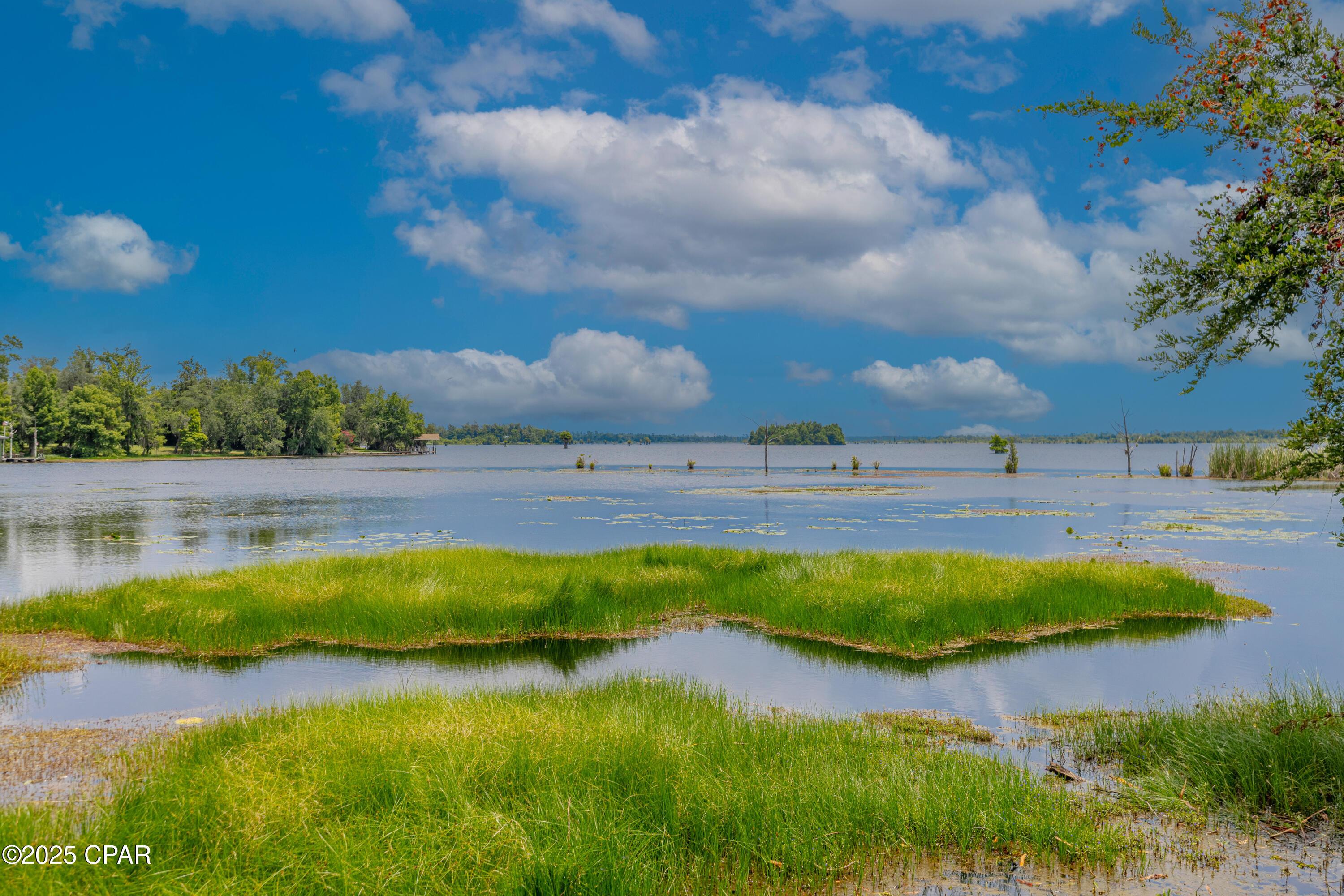 Image 2: Waterfront