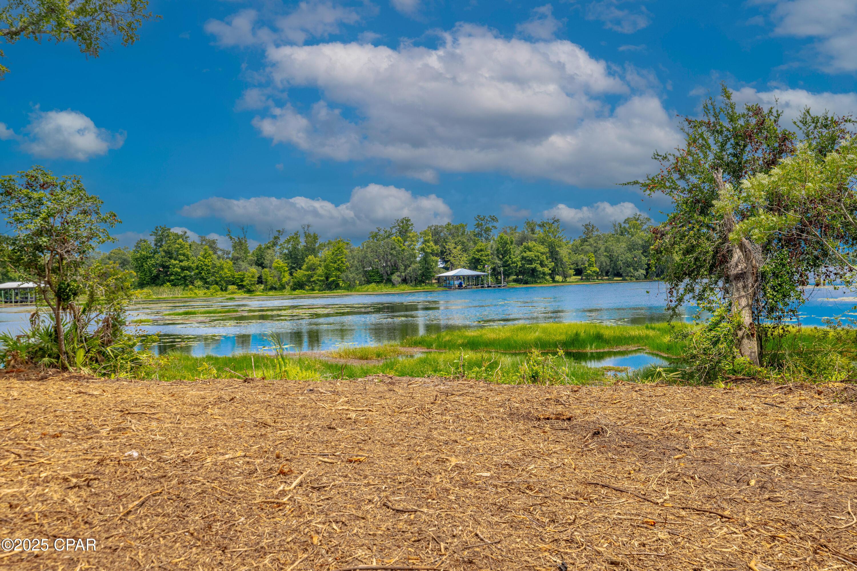 Image 3: Waterfront