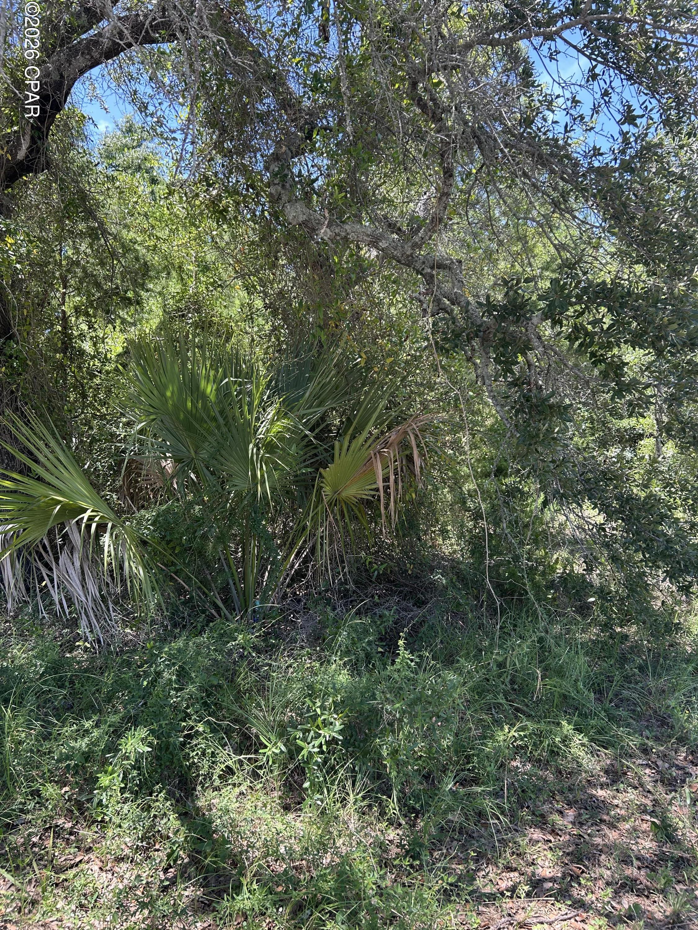 Image 1: vacant lot