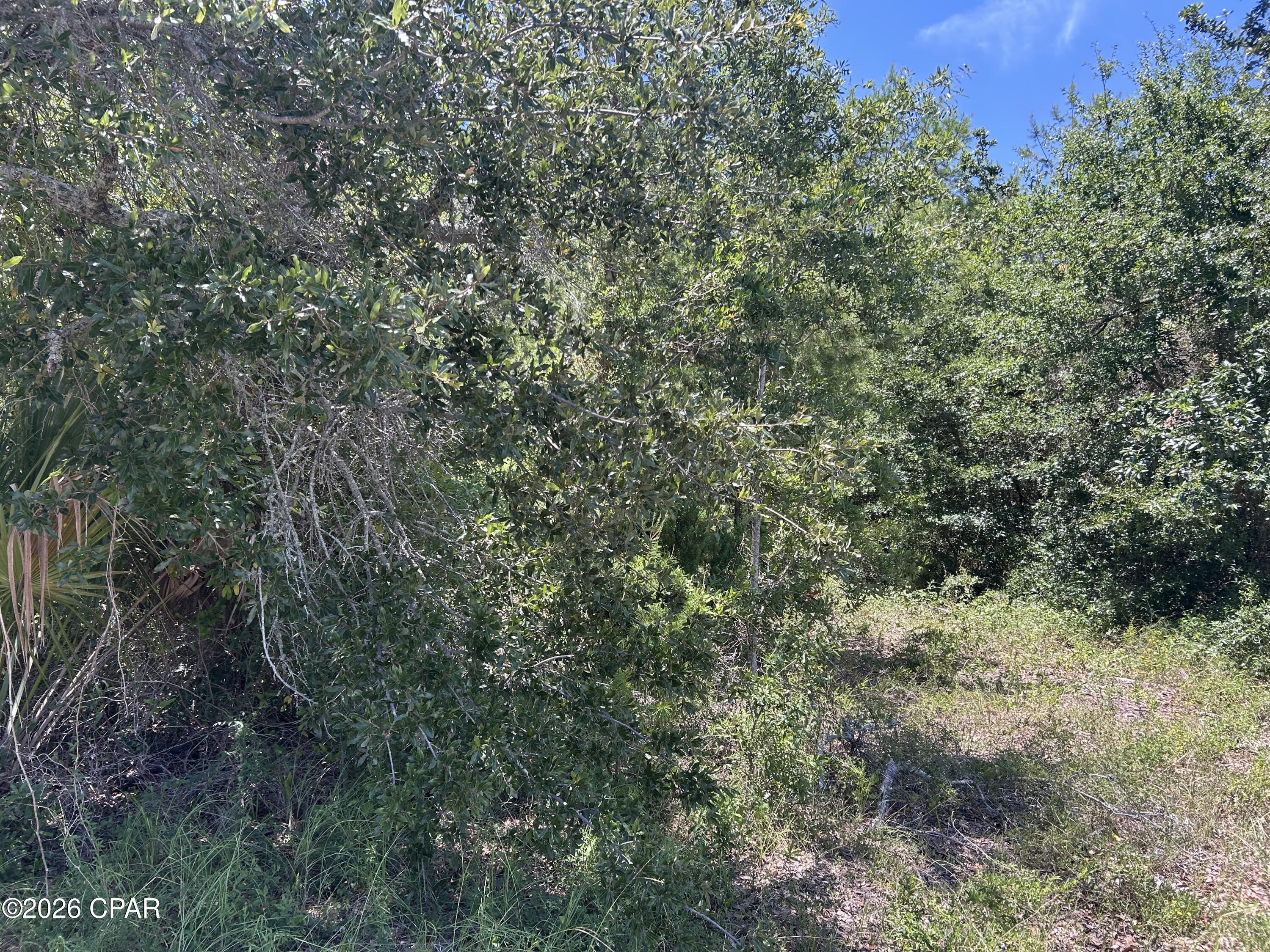 Image 2: IMG_9261