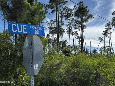 12128 Cue Drive